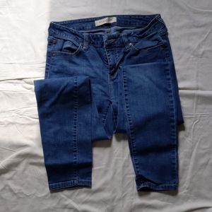 Liverpool Skinny Jeans